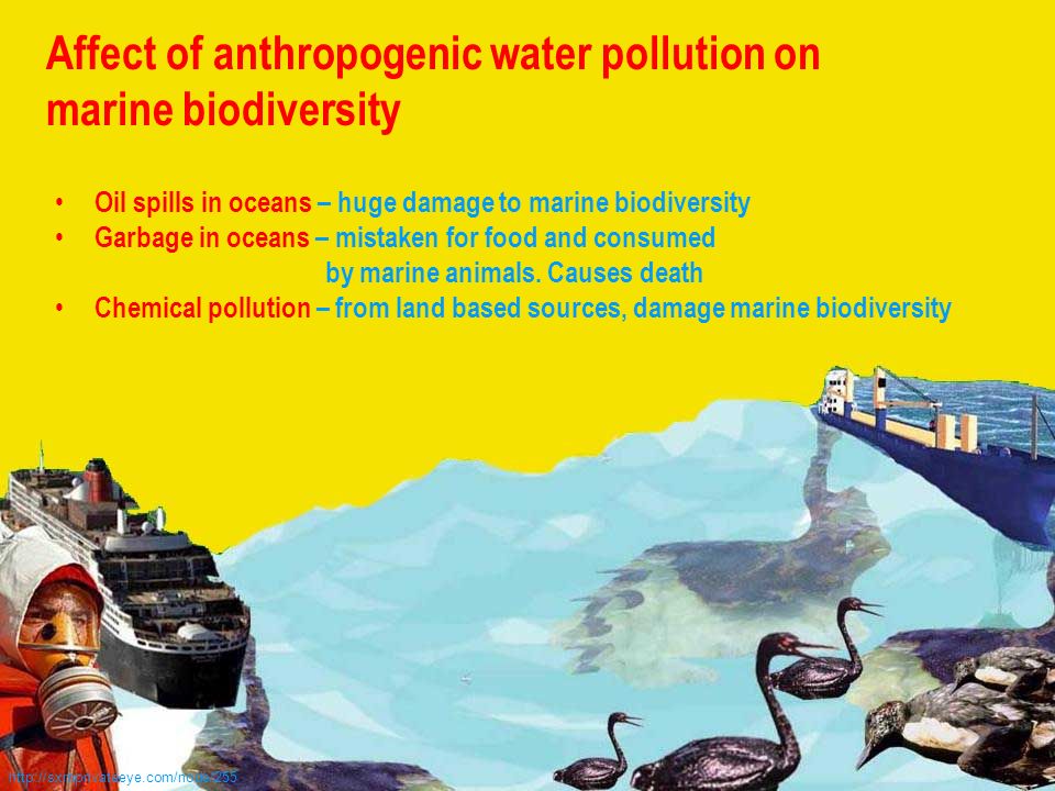 Anthropogenic impact on marine environment and
